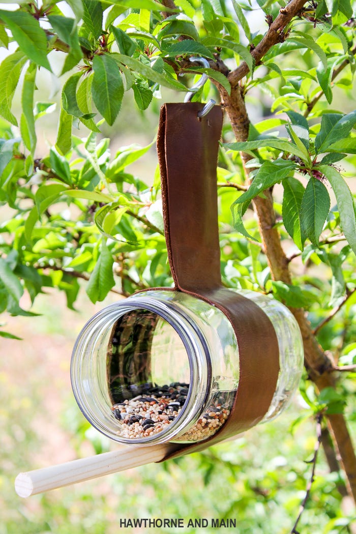 diy wild bird feeder